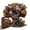 Irregular Shaped Owl Puzzle Piggy Bank Model L, variant on Artisanal Wood-Grain Jigsaw: Ancient Forest Owl Parliament Illustration, Whimsical Hand-Crafted Puzzle with Hidden Bird Fragments for Mindful Afternoons, Small Art Set