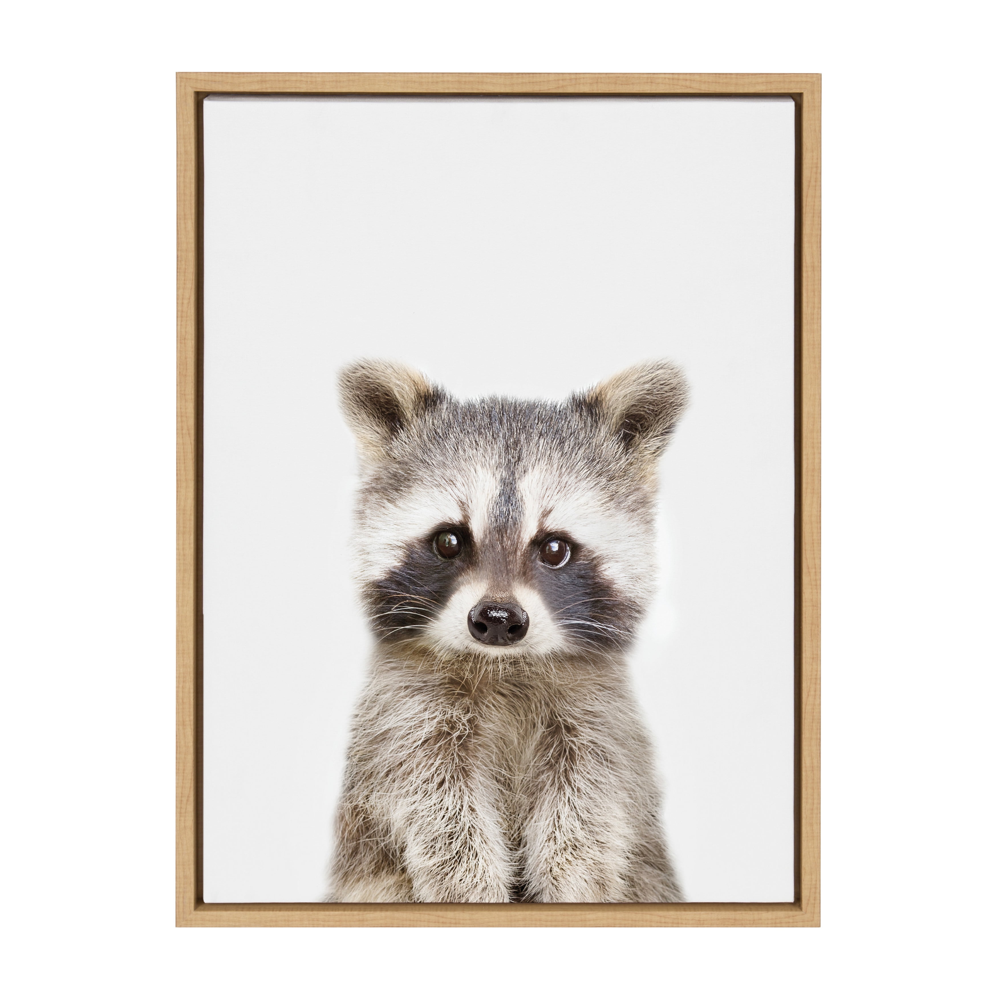 Kate and Laurel Sylvie Baby Raccoon Animal Print Portrait Framed Canvas