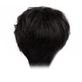 thumbnail image 3 of Pelucas De Hombre Cabello Humano Peluca Ondulada Negra Corta Peluca De Peluquín Resistente Al Calor 22cm, 3 of 6
