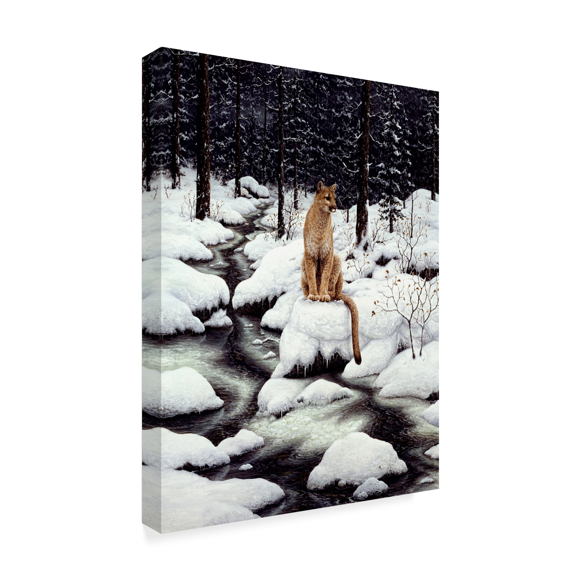 Trademark Fine Art 'Cougar' Canvas Art by Jeff Tift