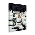 thumbnail image 2 of Trademark Fine Art 'Cougar' Canvas Art by Jeff Tift, 2 of 3