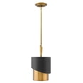thumbnail image 2 of -One Light Pendant-10 Inches Wide By 18.25 Inches Tall Fredrick Ramond Lighting Fr34317hbr, 2 of 5