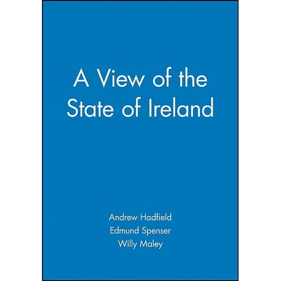 A View of the State of Ireland: The Production and Experience of Consumption, (Paperback)