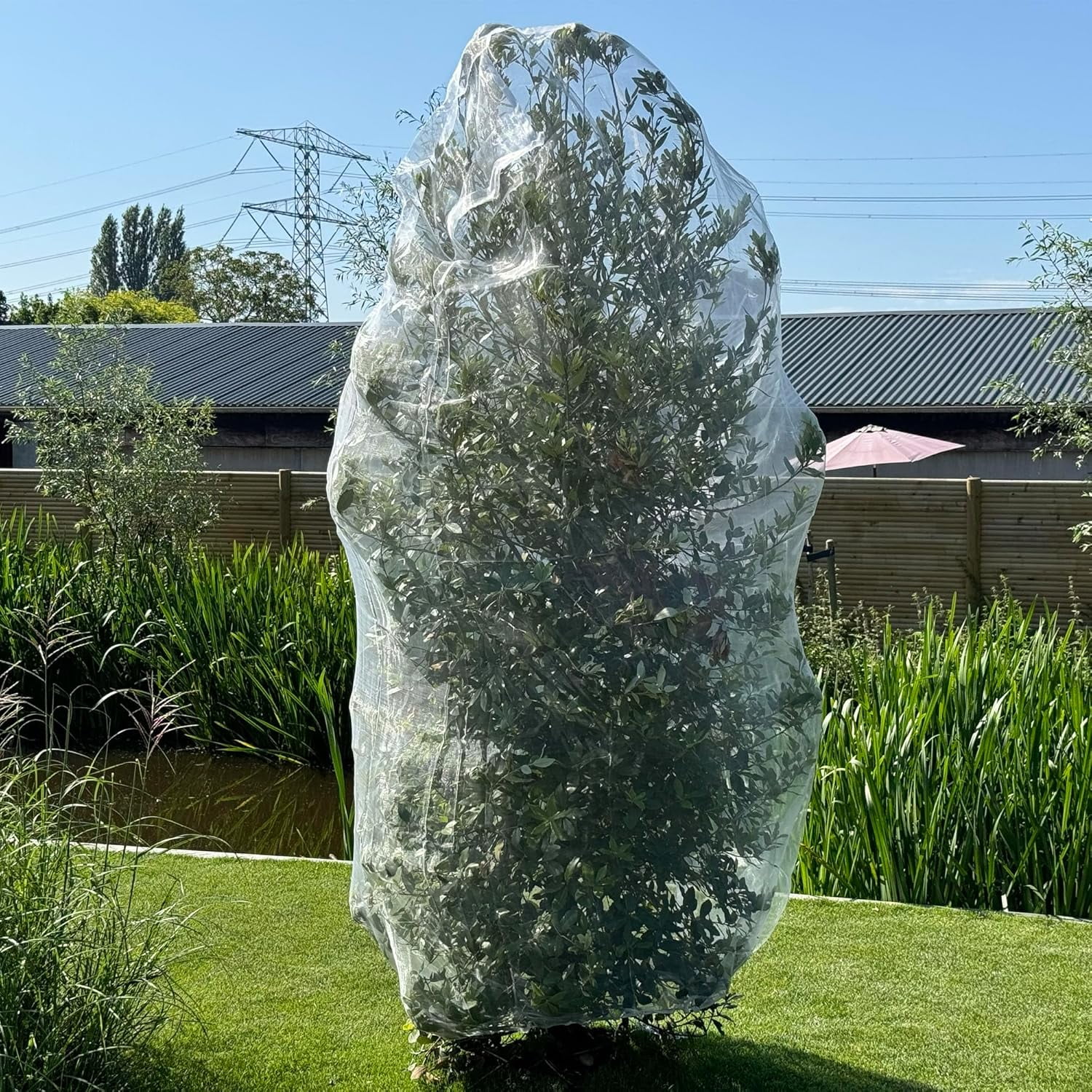 Fruit Tree Protection Bags 6.5x8.5 FT | Multiple Size Garden Netting for Fruit & Vegetable Protection | White Plant Net Cover for Blueberry & Tomato | Bird & Insect Mesh Fabric Protector