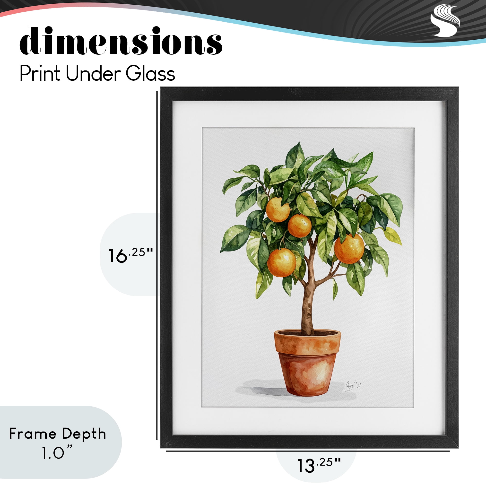 Stupell Industries Potted Orange Tree Black Framed Print Under Glass, design by Shelly Craig