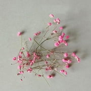 JANDEL Dried Flower for Candle Handmade Making,Soap Making Bath,Aromatherapy Wax Piece Special Dried Flower DIY Material