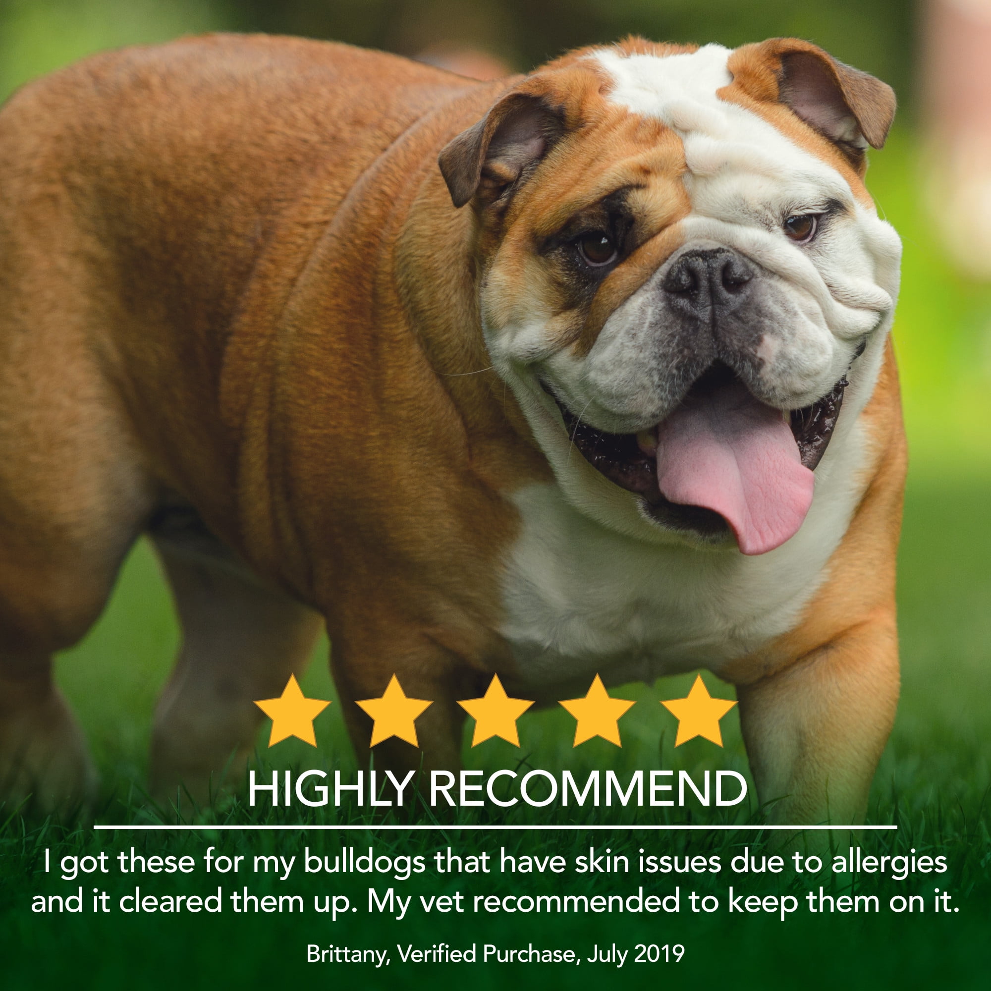 Vet's Best Healthy Coat Shed & Itch Relief Supplements for Dogs - 150 Chewable Tablets - 8oz.