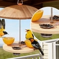 thumbnail image 5 of Glass Oriole Feeder Cups Replacement Jelly Bowls for Bird Feeders, Clear Glass Feeding Dishes for Orioles, Hummingbirds and Goldfinches, Outdoor Garden Patio Accessories,White,1, 5 of 9