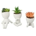 thumbnail image 2 of Compact And Lightweight Faux Succulents Plant, Cute Appearance, Small Artificial Plant Shelf Decor, 2 of 8