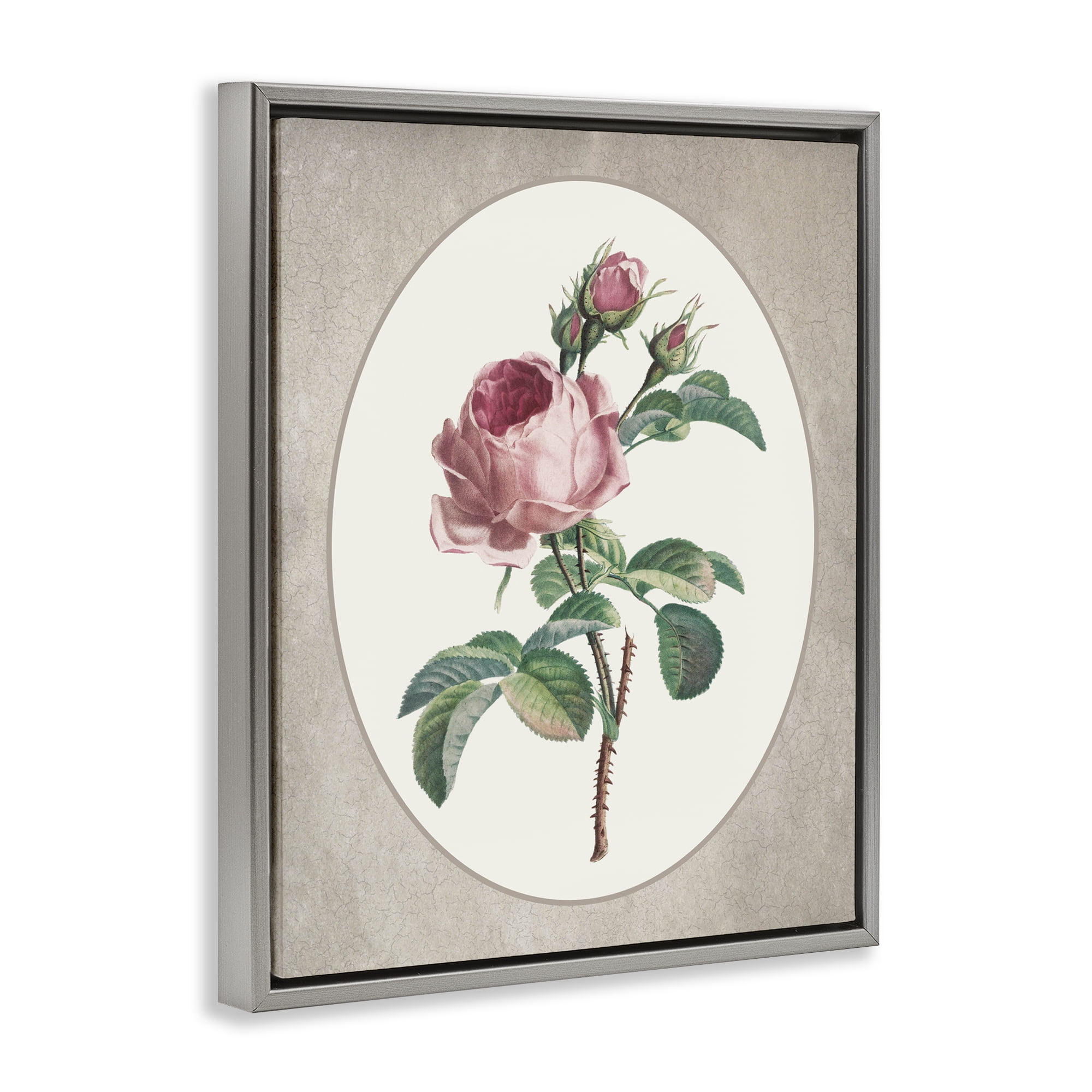 Vintage Rose within Oval Gray Framed Floater Canvas Wall Art, design by Lettered and Lined