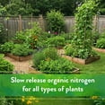 thumbnail image 5 of Down To Earth Organic Feather Meal 12-0-0 All-Natural Fertilizer, 20lbs, 5 of 5