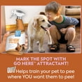 thumbnail image 3 of ¡Spray atrayente para perros OUT! Entrena para ir al baño con 960 ml, 3 of 7