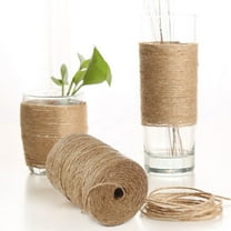 Garden Twine Strong, Natural Jute Brown Twine, Jute Twine String Thin Ribbon Hemp Twine for Craft Plant Gift for Gardening Tomato Climbing Plant Tie Floristry Crafts Gift Wrapping Packing Decor