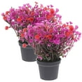 thumbnail image 1 of unbranded 2Ud Plantas Artificiales Decorativas En Maceta Con Apariencia Natural Para Escritorio Y Hogar, 1 of 7