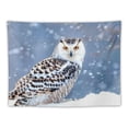 thumbnail image 5 of Orinice Owl Snow Blue Sky Tapestry Wall Hanging Unique Style Graphic Tapestries Home Wall Decor Art for Living Room Bedroom Apartment Farmhouse Dorm 4 Sizes Available 60x50inch, 5 of 6