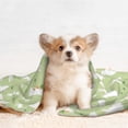 thumbnail image 4 of Yiaed Rabbit And Carrot (2) Print Dog Blankets-Cat Blanket Washable for Couch Protection,Puppy Blanket, Soft Plush Reversible Throw Furniture Protector-Small, 4 of 8