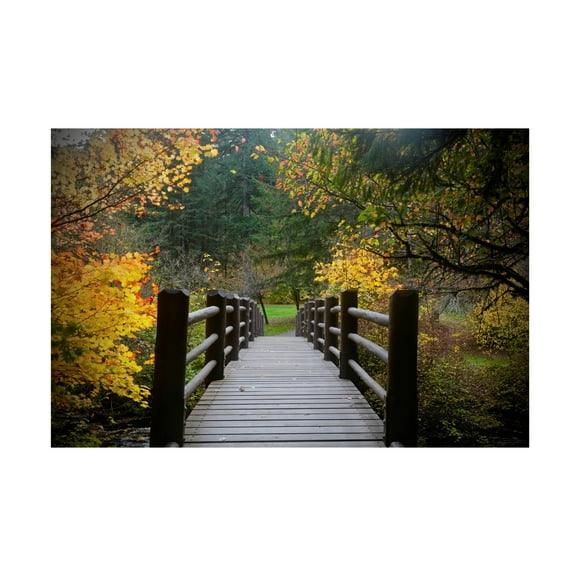 Susan Vizvary Photography 'Autumns Bridge' Canvas Art