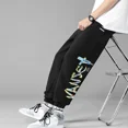 thumbnail image 5 of Pantalones cortos de hip-hop para otoño e invierno, pantalones deportivos para hombre, pierna ancha, con aguja, oferta de bienvenida, pantalones deportivos holgados tipo Joker para hombre, 5 of 5