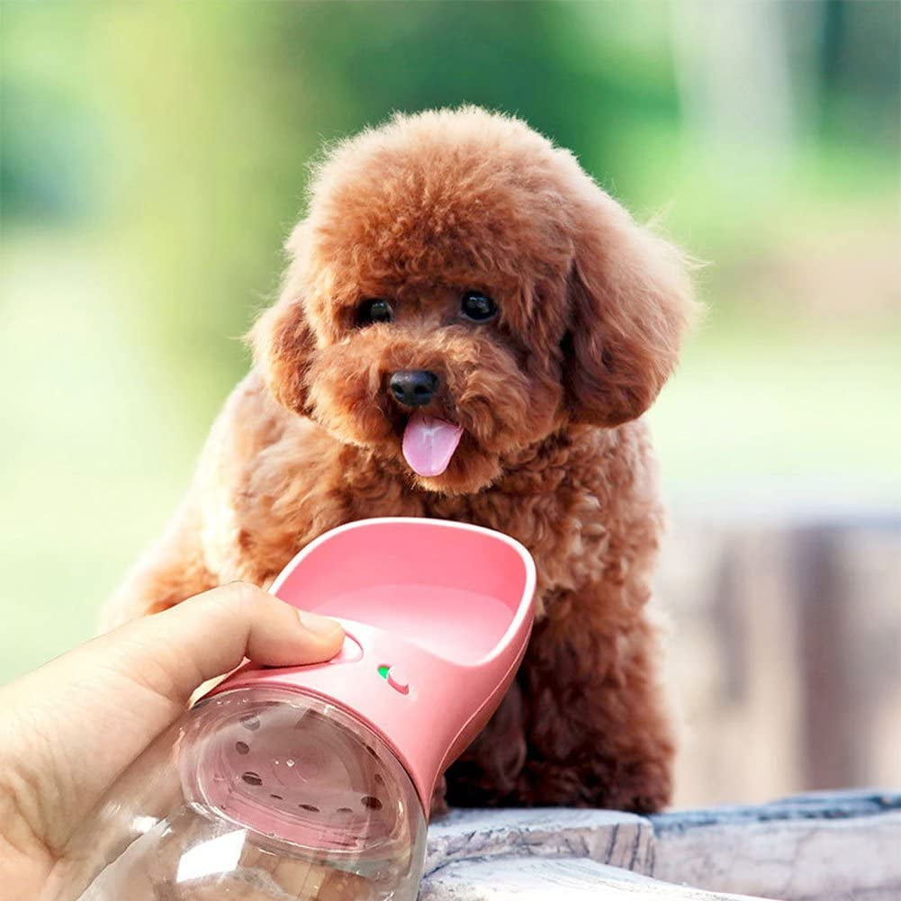 Portable Dog Water Bottle Dispenser [Leak Proof & Foldable] Dog Travel  Water Bottle Bowl Accessories for Puppy Small Medium Large Dogs Pet Water  Bottles for Dogs Walking Outdoor Hiking Travel 19OZ 