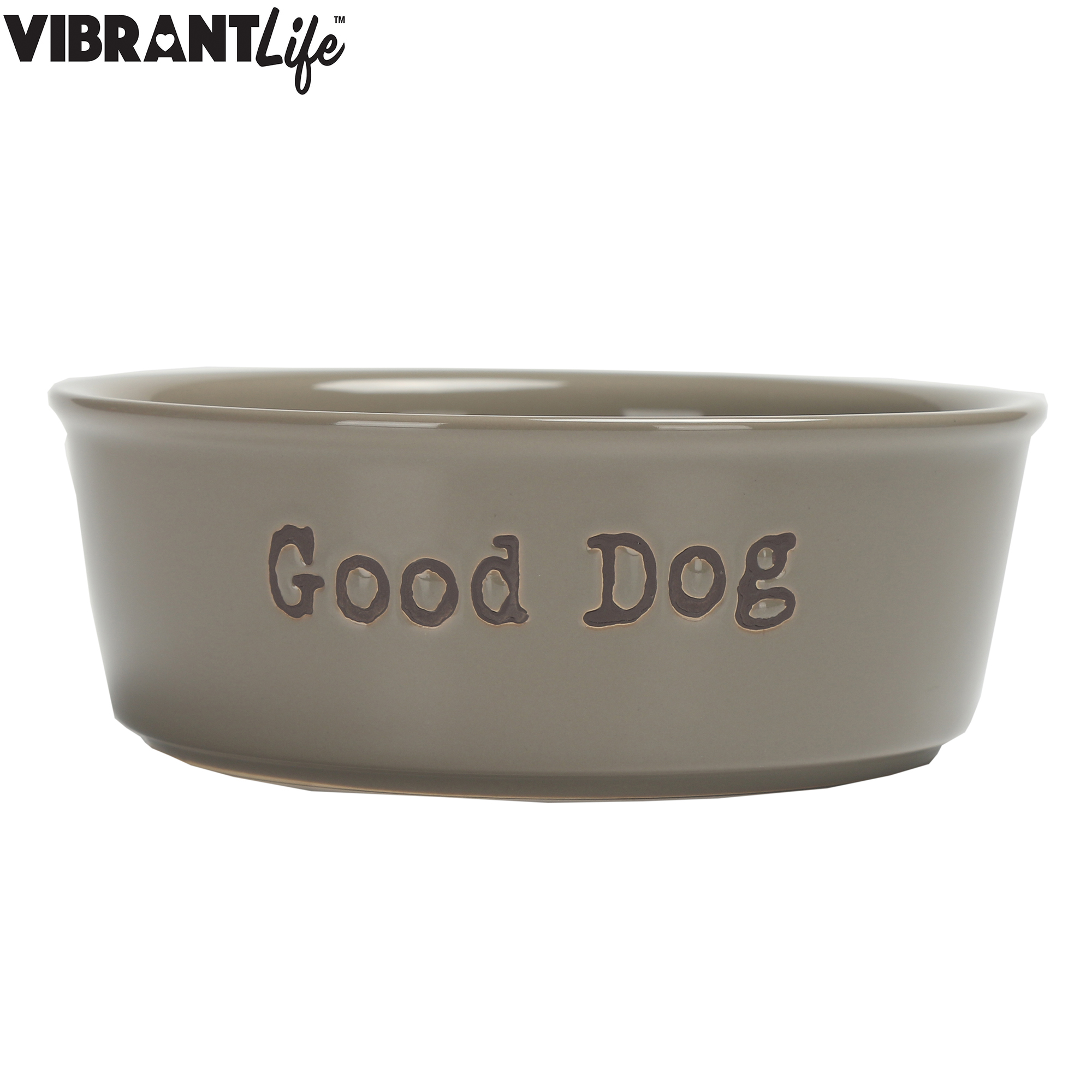 Vibrant Life Ceramic Feed Me Pet Bowl, Gray, Large