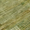 thumbnail image 2 of Dalyn Rugs Machine Washable Indoor/Outdoor Chantille ACN2149 Aloe 2'6" x 3'10" Rug, 2 of 9