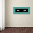 thumbnail image 3 of Trademark Fine Art "Cat Eyes" Canvas Wall Art by Patty Tuggle, 3 of 3
