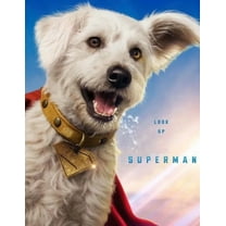 Superman Diamond Art Kits for Adults,5D Diamond Painting Kits for Adults, Puppy Paint with Numbers Diamonds for Home Wall Decor 12x16 Inch