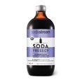 thumbnail image 1 of SodaStream Soda Press Organic Syrup, Blueberry Lime Flavour, 1 of 4