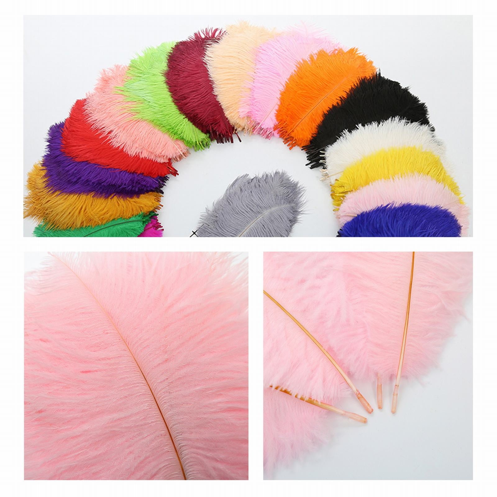 Lot De 100 Plumes D'oie Naturelles Colorées En Vrac Pour