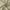Taupe, variant on No. 918 Hathaway Twist Tab Semi-Sheer Tab Top Curtain Panel, 40"x84", Taupe