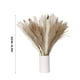 thumbnail image 4 of Ramo de 60 Flores Secas, Hierba de La Pampa Natural, Decoración Bohemia para El Hogar, Ideal para Sala de Estar o Baño, Elegante Jarrón Decorativo, Perfecto para Ocasiones Especiales, 43 Cm, 4 of 7