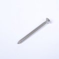thumbnail image 2 of Tornillo para madera 100 piezas Tornillos de acero inoxidable Cabeza plana Tornillos para paneles de yeso autorroscantes rápidos por, 2 of 5