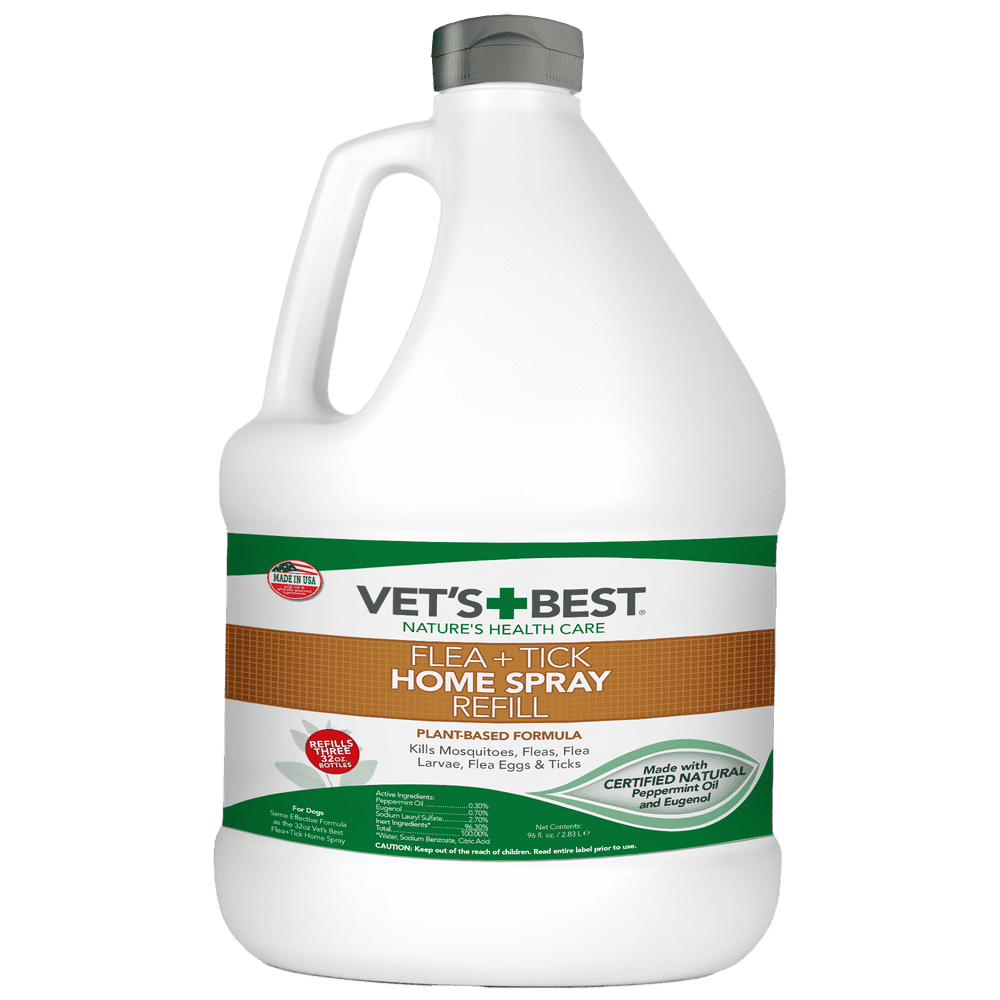Vet