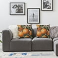 thumbnail image 2 of nygtbtfer Farm Pillow Cover  Farmhouse Decor Decorative Cushion Case for Sofa Couch Vintage Fruit Orange Decorations Throw Pillowcase  24x24in, 2 of 7