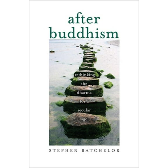 Pre-Owned After Buddhism: Rethinking the Dharma for a Secular Age (Hardcover) 030020518X 9780300205183