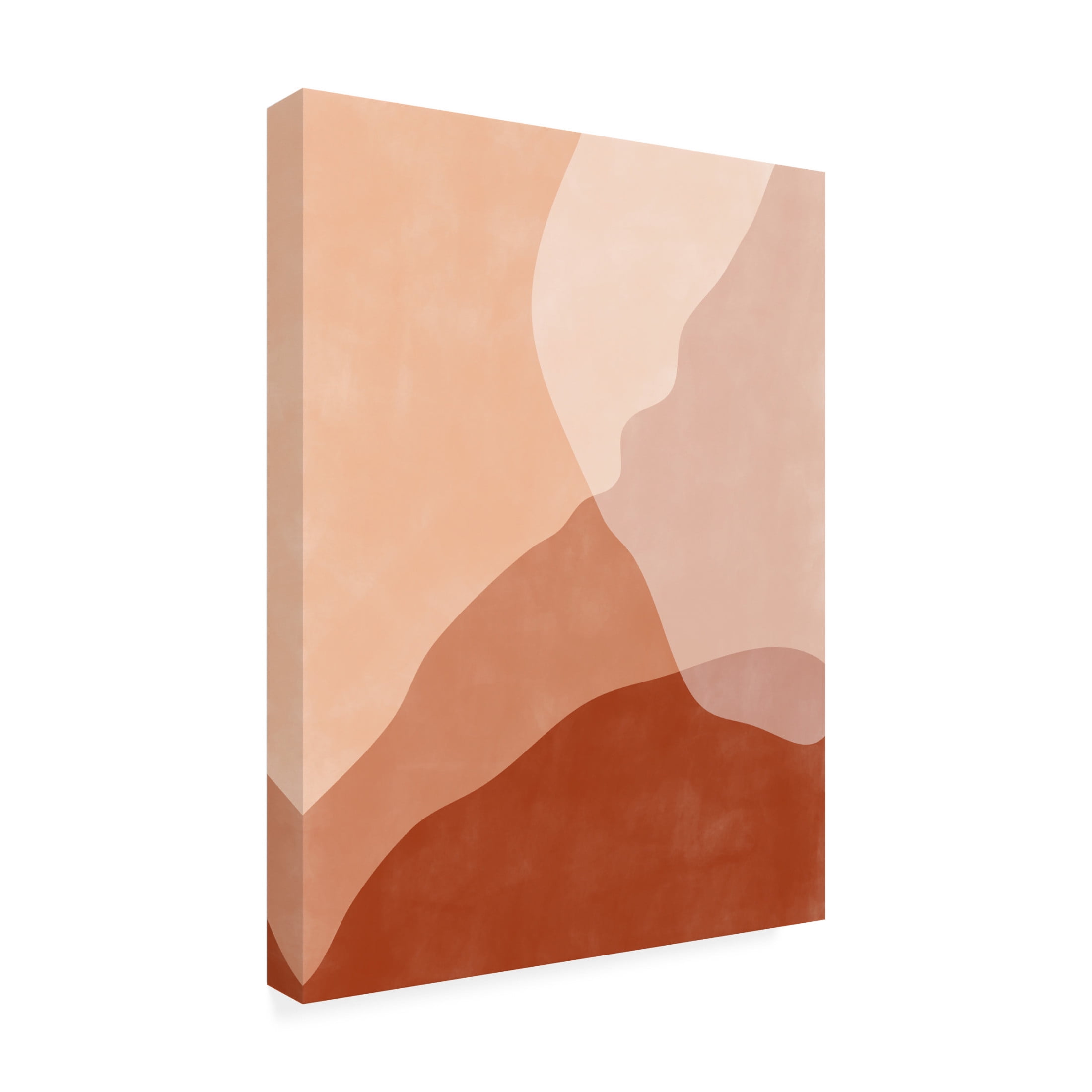 Trademark Fine Art Elena Ristova  terracotta51 Canvas Wall Art