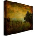 thumbnail image 2 of Trademark Fine Art "View from the Top" Canvas Art by Lois Bryan, 2 of 2