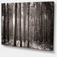 thumbnail image 2 of Beautiful Misty Forest in the Autumn - Forest Canvas Art Print, 2 of 4