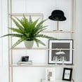 thumbnail image 2 of Mainstays 11.5in Indoor Artificial Plant in Pot, Green Color Fern, 2 of 5