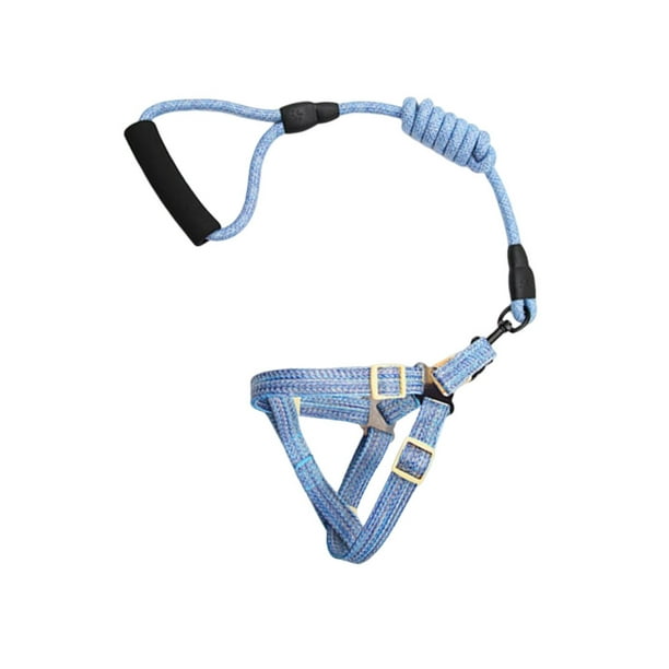 Greeniant Arnés para mascotas, conjunto de correa, accesorio, correa de pecho Universal, cuerdas de fijación, para exteriores, cuerda de Tubos y túneles para animales pequeños Azul METRO