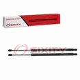 thumbnail image 4 of Sixity Auto 2 pc Lift Supports Struts compatible with SG204035 819-6037 6100 - Gas Springs Shocks Props Arms Rods Dampers, 4 of 4