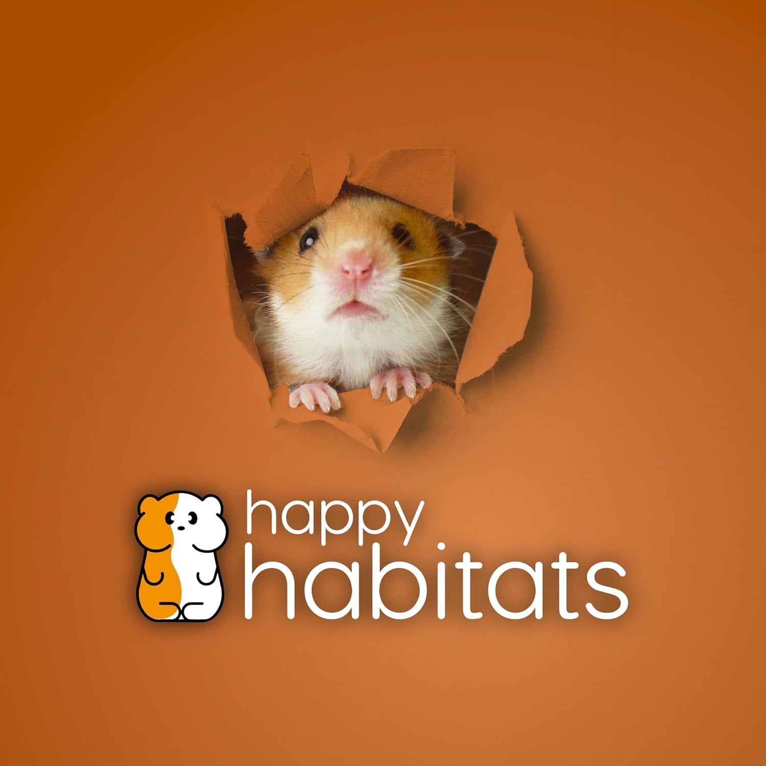 Happy Habitats Clear Dwarf Hamster Ball (7”) – Safe, Ventilated Plastic Balls for Hamsters, Gerbils & Mice