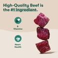 thumbnail image 3 of Jinx Beef Bites, Natural Soft Jerky Dog Treats, 15 oz Bag, 3 of 11