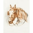 thumbnail image 2 of Bernard, Jean 12x14 White Modern Wood Framed Museum Art Print Titled - Head of a Horse IV, 2 of 4