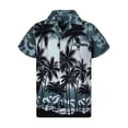 thumbnail image 1 of Qarigey Camisa de manga corta para hombre, a la moda, de secado rápido, con botones sueltos, ropa de playa individual, talla grande para Type2 NO2, 1 of 6