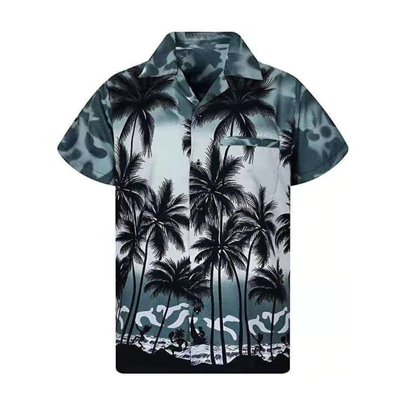Qarigey Camisa de manga corta para hombre, a la moda, de secado rápido, con botones sueltos, ropa de playa individual, talla grande para Type2 NO2