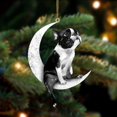 thumbnail image 1 of Perros Colgantes Colgantes Para Árboles De Navidad Decoraciones Para Perros Para Mascotas Colgantes Para Colgar En Ventanas O Puertas Advancent HA042685-07, 1 of 6