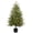 1pcs, variant on Ayieyill 4FT Norfolk Pine Christmas Tree, 2 Pack Norfolk Pine Tree with 80 LED Lights, Indoor Holiday Christmas Decorations