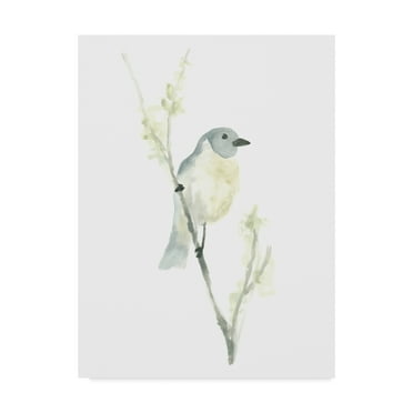 Trademark Fine Art 'Avian Impressions III' Canvas Art by June Erica Vess
