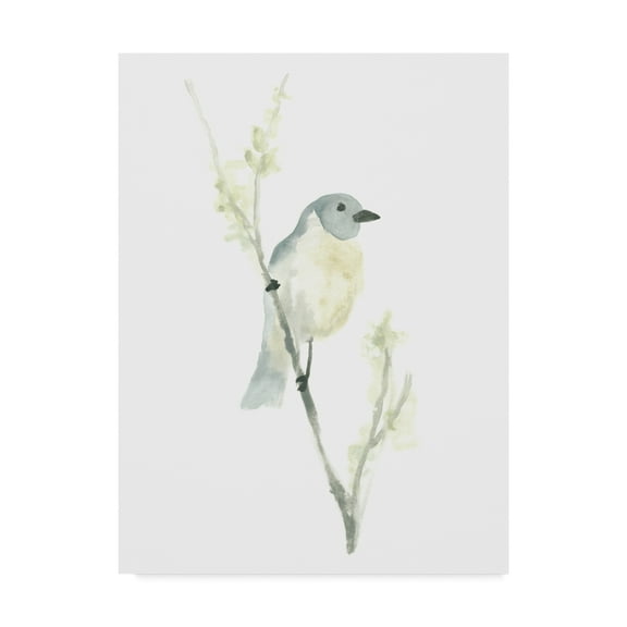 Trademark Fine Art 'Avian Impressions III' Canvas Art by June Erica Vess